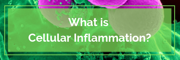 What is Cellular Inflammation?